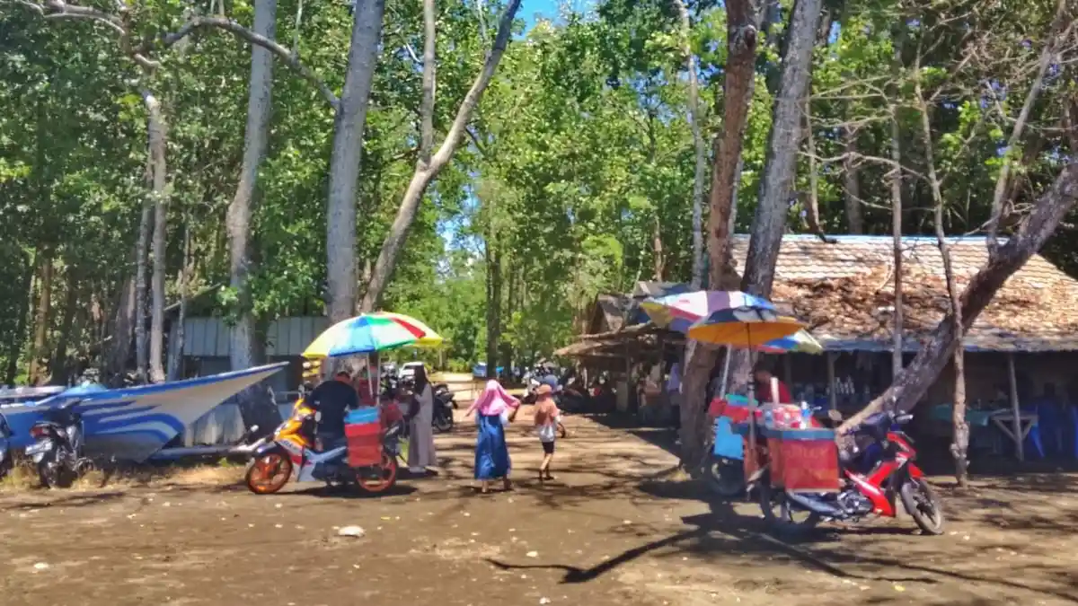 Pesona Mangrove Pantai Lopon: Primadona Wisata Halmahera Timur yang Membutuhkan Sentuhan Pembenahan