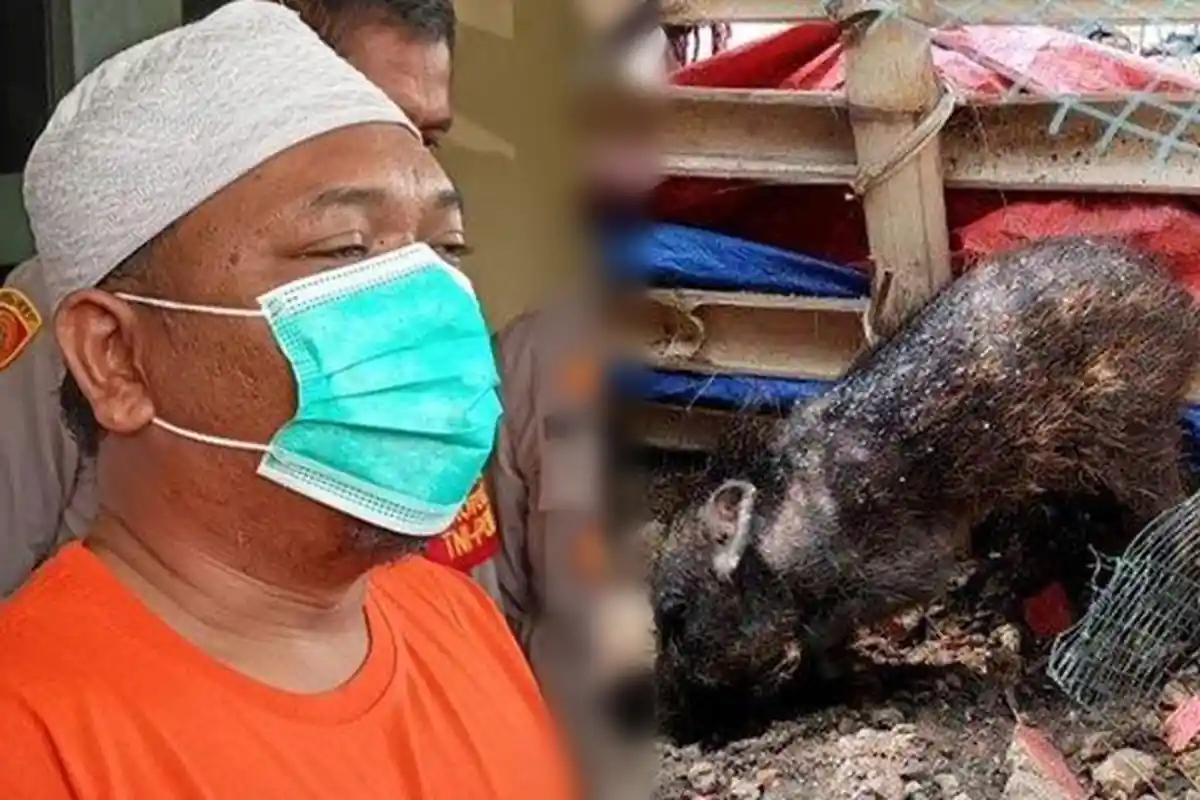 Sosok Adam Ibrahim, Dalang Cerita Hoax Babi Ngepet di Depok, Ngaku Ustaz, Terancam 10 Tahun Penjara