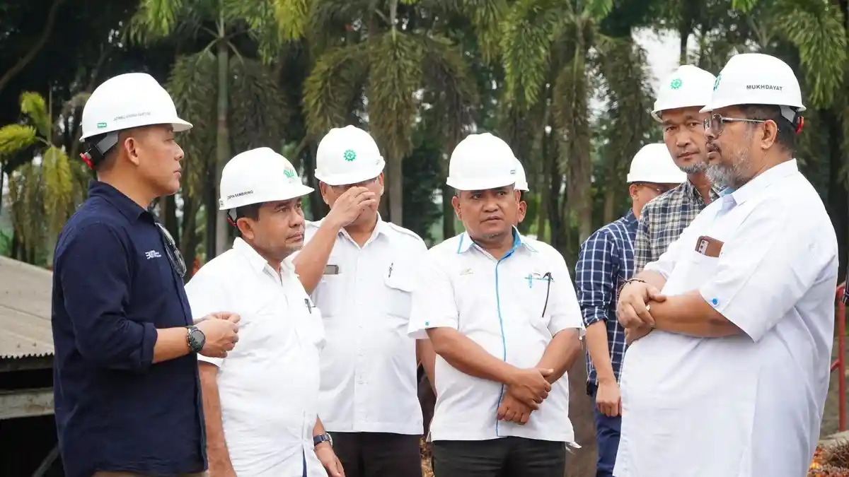 Transformasi Regional 4 di Bawah Naungan PTPN IV PalmCo