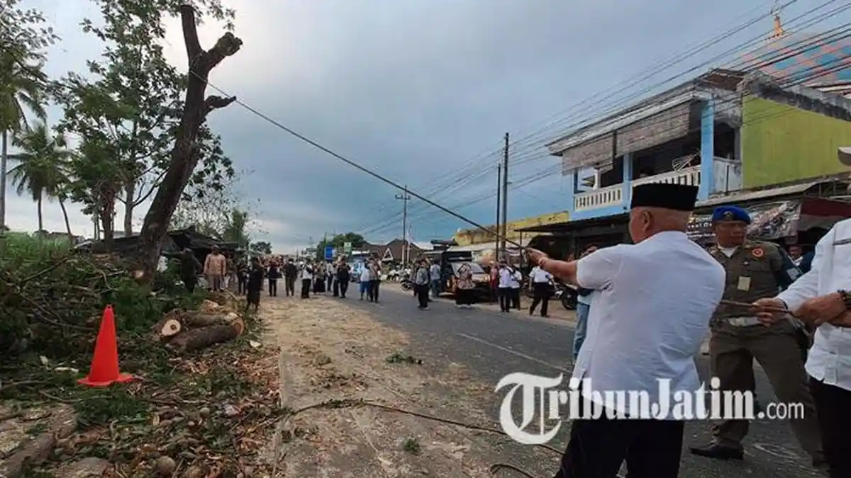 Perbaikan Jalan Gondanglegi-Balekambang Malang Dimulai, Diawali dengan Penebangan Pohon 