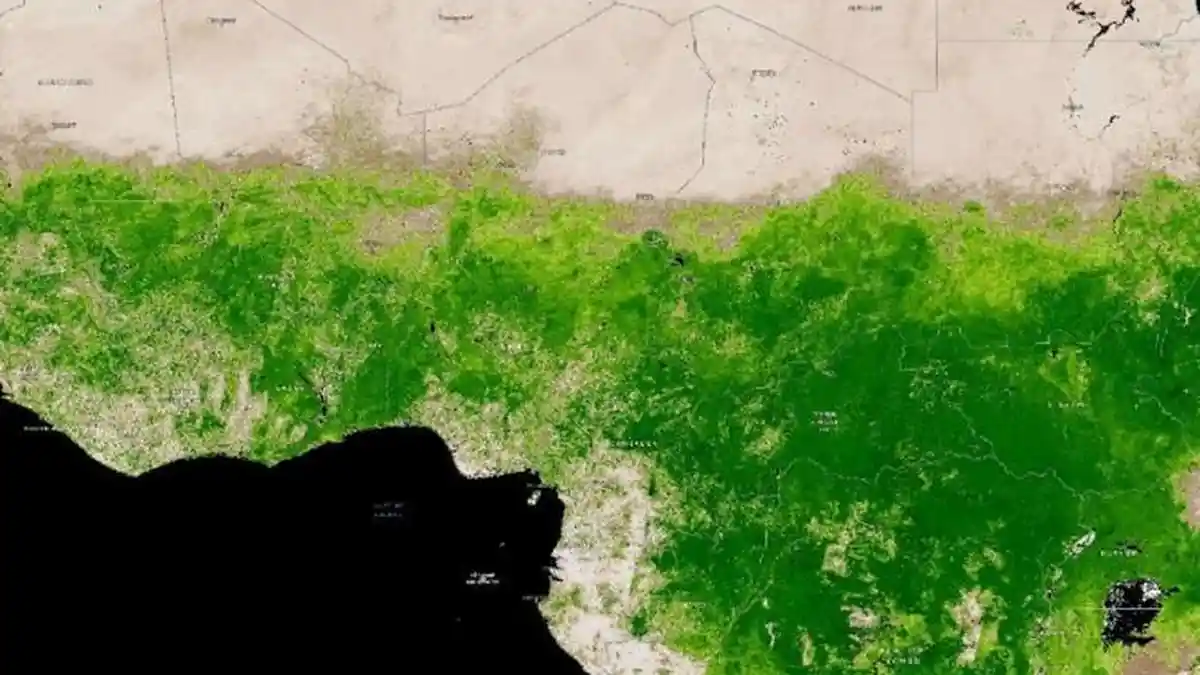 Tidak Lagi Gersang, Gurun Sahara Berubah Menjadi Hijau, Pertanda Apa?