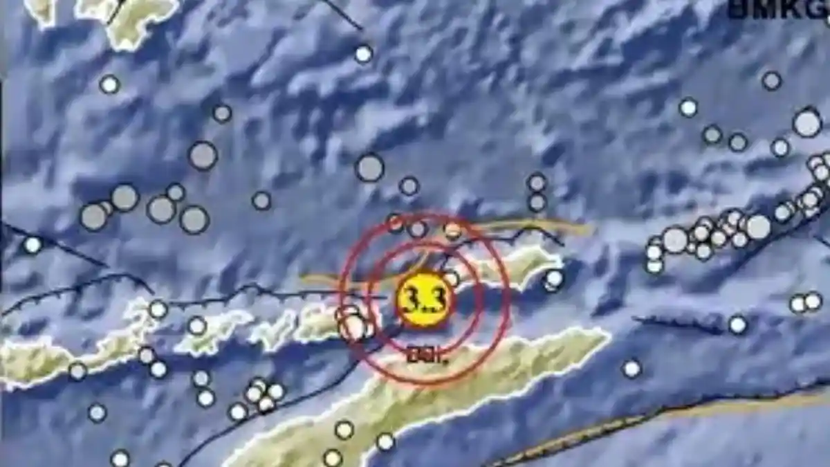 Gempa Bumi di NTT Rabu 24 Juni 2026, Info BMKG Magnitudo dan Lokasinya - Tribunmanado.co.id