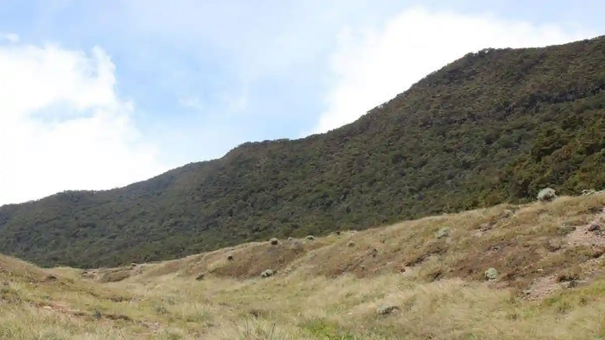 Jalur Pendakian Gunung Gede Pangrango Ditutup, Pendaki yang Sudah Booking Diminta Lakukan Ini