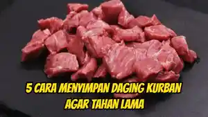 Berikut-ini-5-cara-menyimpan-daging-kurban-agar-kesegarannya-tahan-lama.jpg