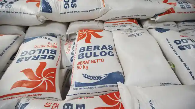 Cadangan Beras Catatkan Capaian Tertinggi, Asa Menuju Swasembada Pangan dan Kesejahteraan Petani