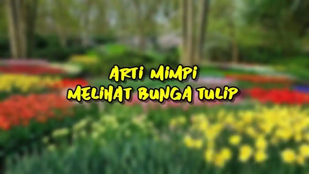 Arti Mimpi Melihat Bunga Tulip, Ternyata Menandakan Perasaan Gembira, Berikut Tafsir Lainnya