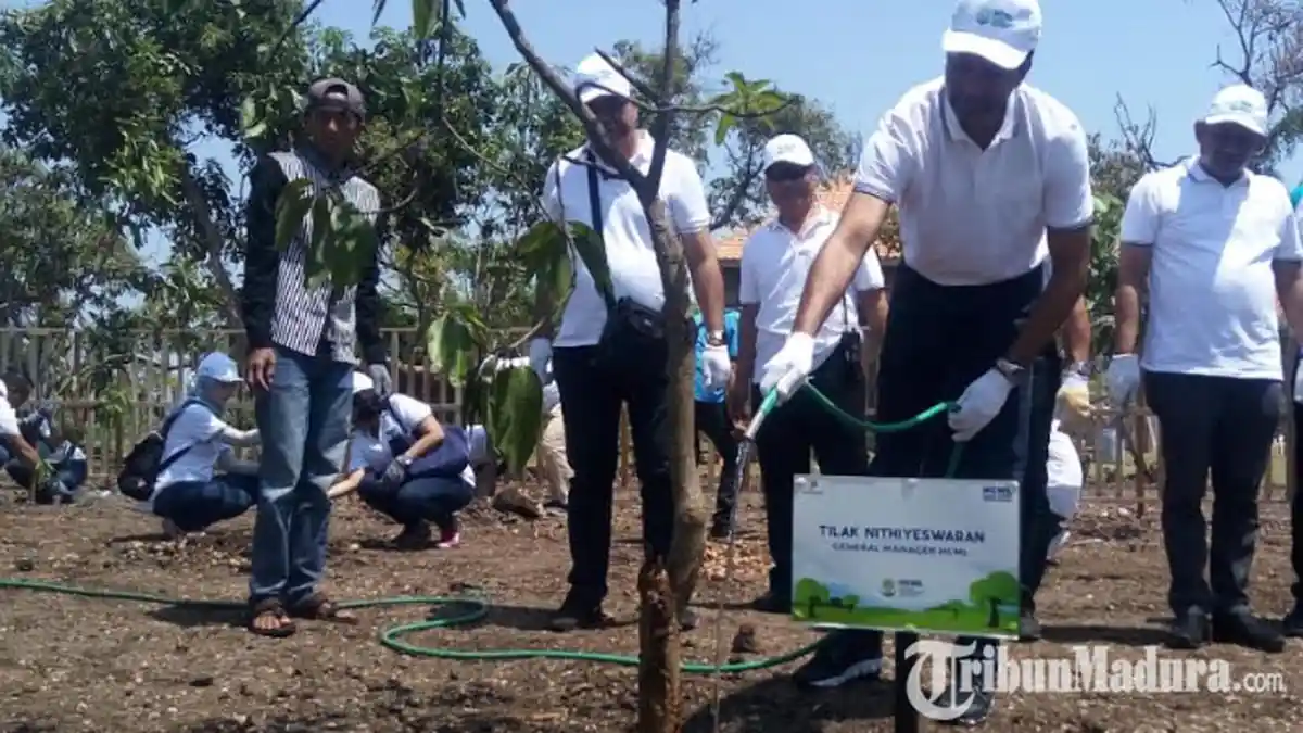 Peringatan Hari Lingkungan Hidup Dunia, 15.000 Bibit Pohon Mangrove Ditanam di Pesisir Pasuruan