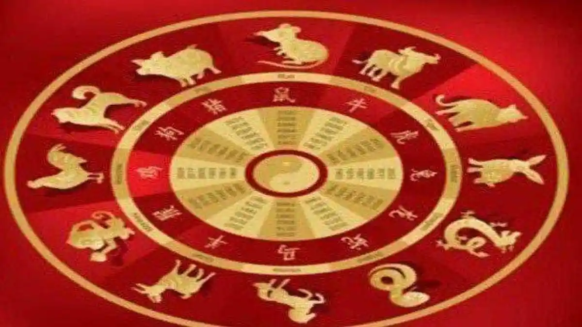 Shio Besok Jumat 14 Juli 2023, Berusahalah Realistis Shio Ular Peluang Besar Menunggu Shio Ayam?