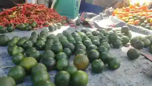 lemon-cina-maltenggg.jpg