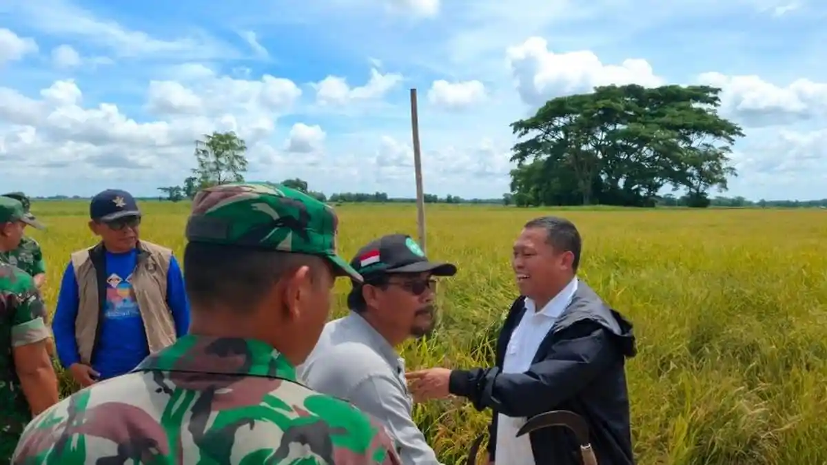 Realisasi Pengadaan Beras Bulog DKI Jakarta dan Banten Tembus 70.370 Ton hingga Juni 2026