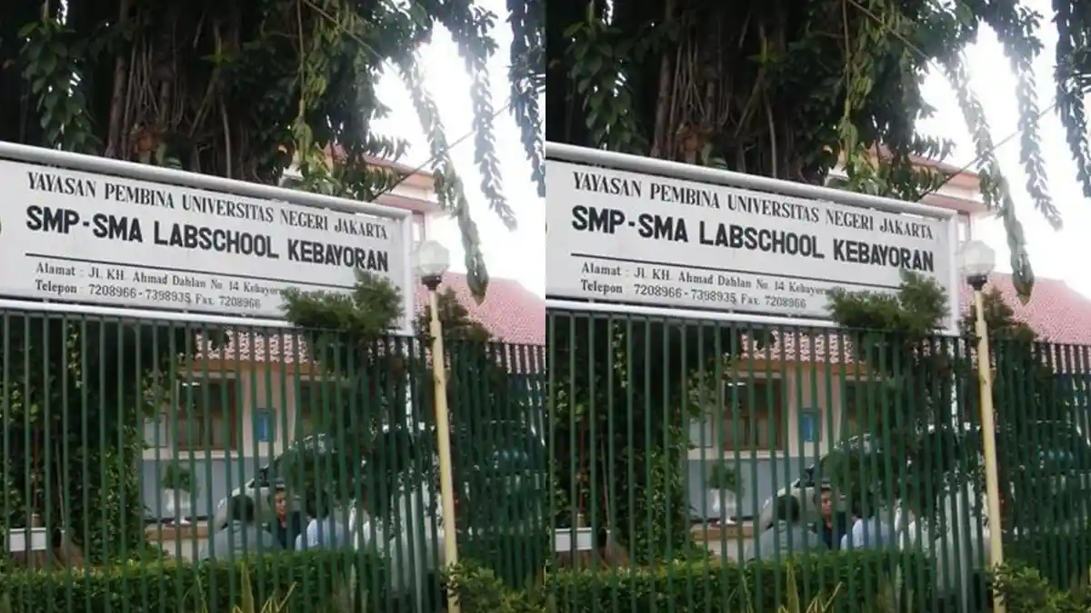 Sosok Dhaniswara Murid SMA Kebayoran Diterima 21 Universitas Luar Negeri, Sekolah Bangga