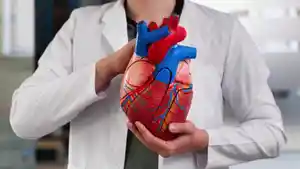 JANTUNG-Penyakit-jantung-tak-melulu-dipicu-koleterol-dan-darah-tinggi-Begini-penelitiannya.jpg