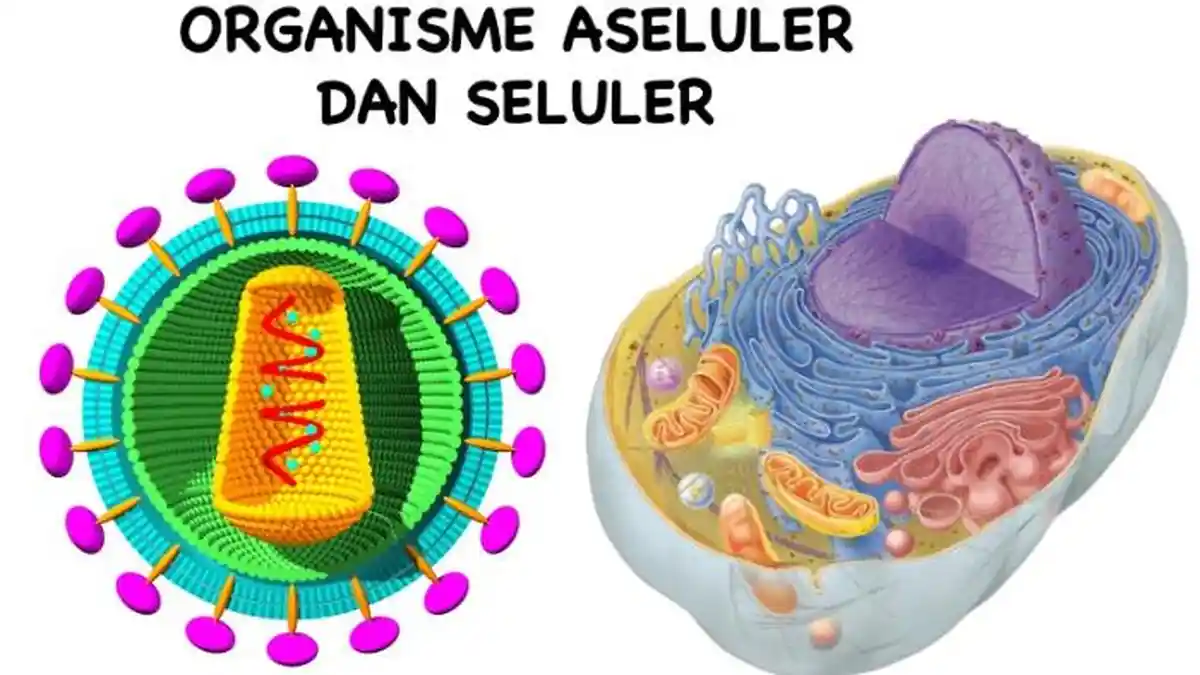 Jelaskan Apa Maksud Virus Bersifat Aseluler! Ini Kunci Jawaban Terbaik & Penjelasan Karakteristiknya