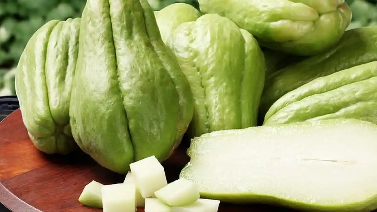 10 Manfaat Labu Siam untuk Kesehatan Tubuh yang Belum Anda Ketahui ...