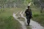 personel-tni-berpatroli_20150921_194818.jpg