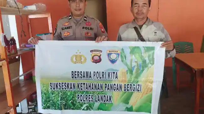 Tribun