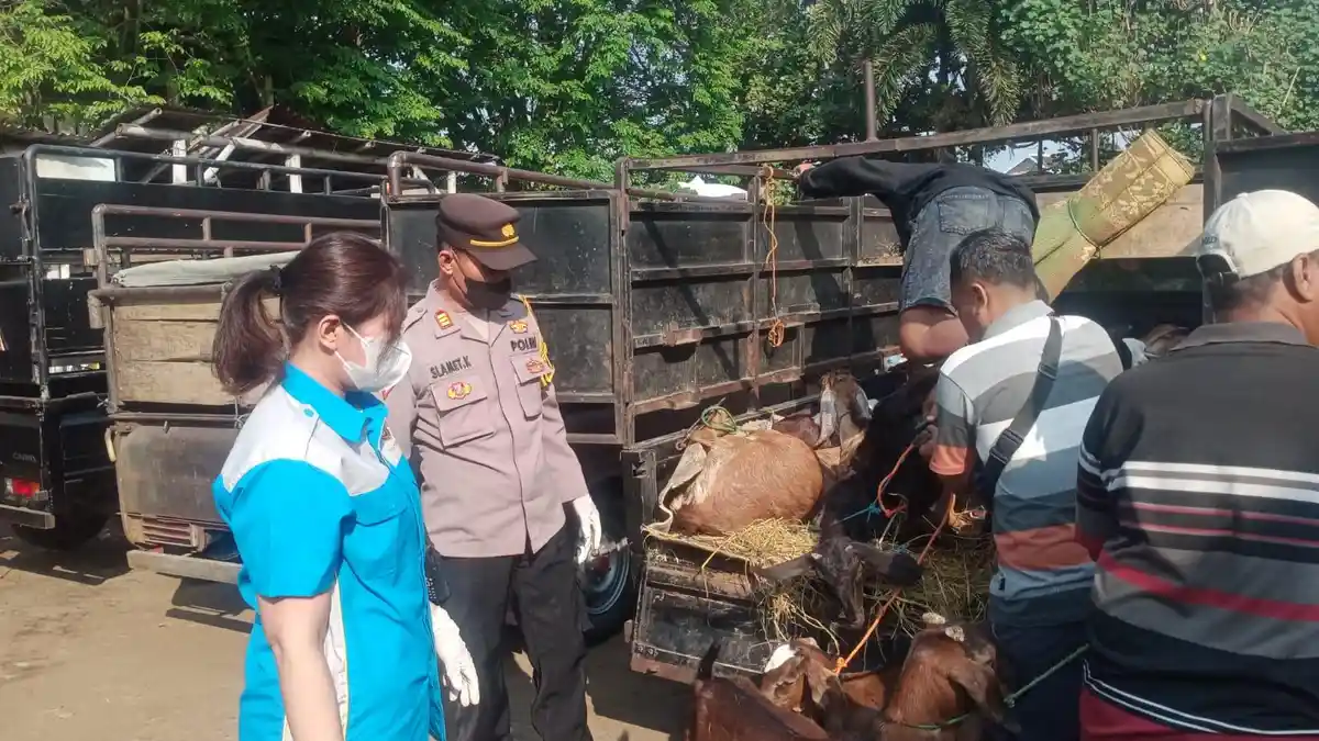 Polresta Solo bersama Pemkot Lakukan Penyekatan Ternak yang Masuk ke Pasar Hewan di Semanggi