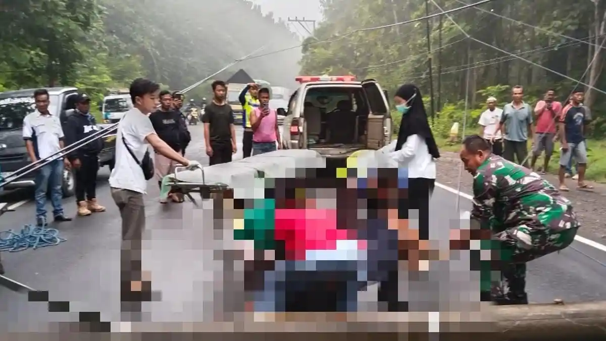 Pemotor Tewas Tertimpa Tiang Listrik saat Melintas di Jalan Raya Cepu-Blora, Begini Respon PLN