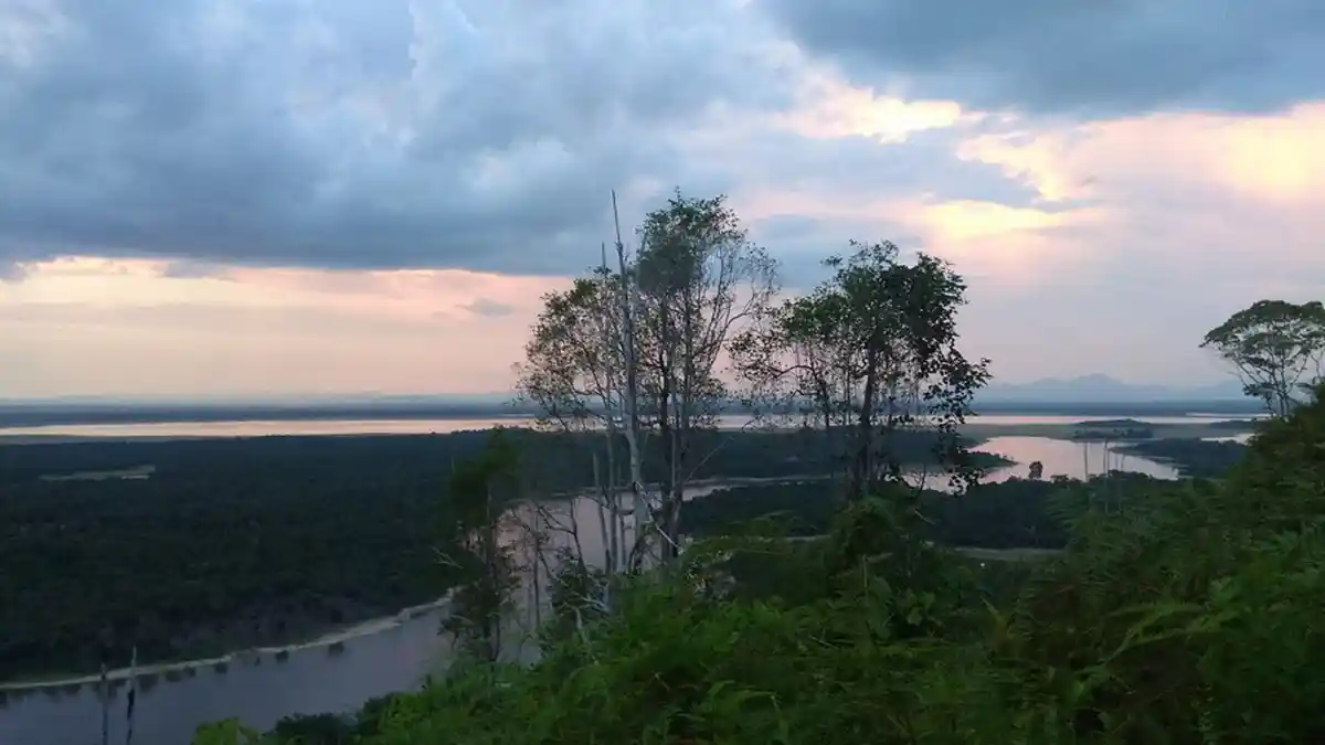 Ini Pemandangan di Danau Sentarum yang Bakal Bikin Kamu Terkenang 
