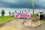 Video Protes Jalan Rusak, Warga Pagerbarang Tegal Tanam Pohon Pisang dan Mancing di Jalan