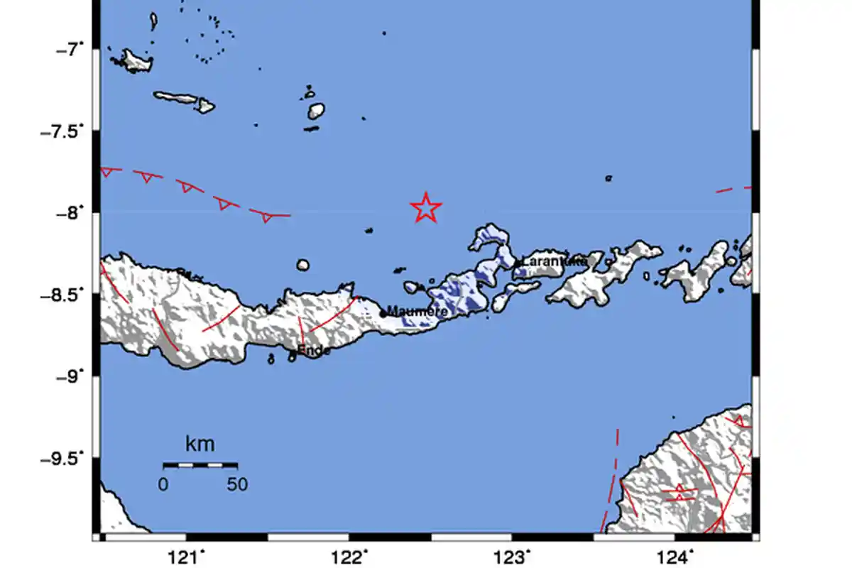 Gempa 4,3 M Guncang Flores Timur dan Sekitarnya