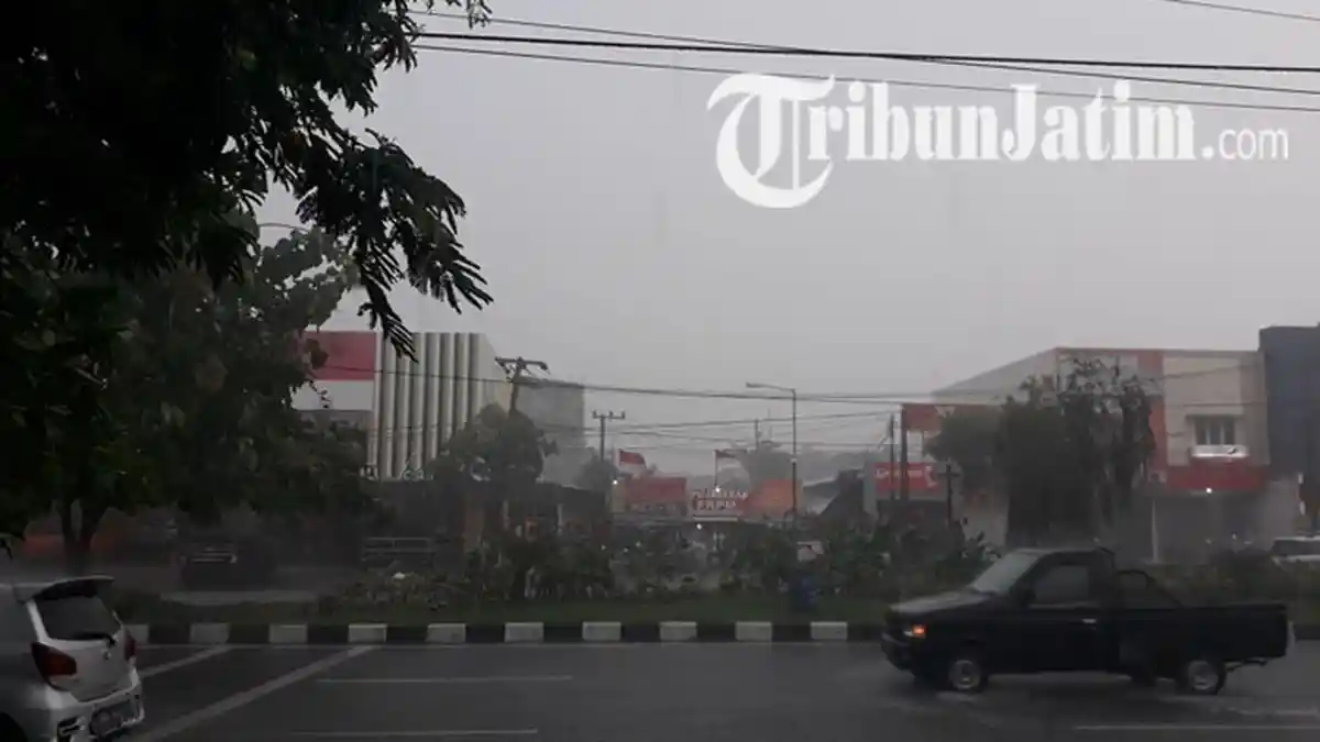 Prakiraan Cuaca Jatim Hari ini, Waspada Hujan Disertai Angin Kencang, Ini Wilayahnya