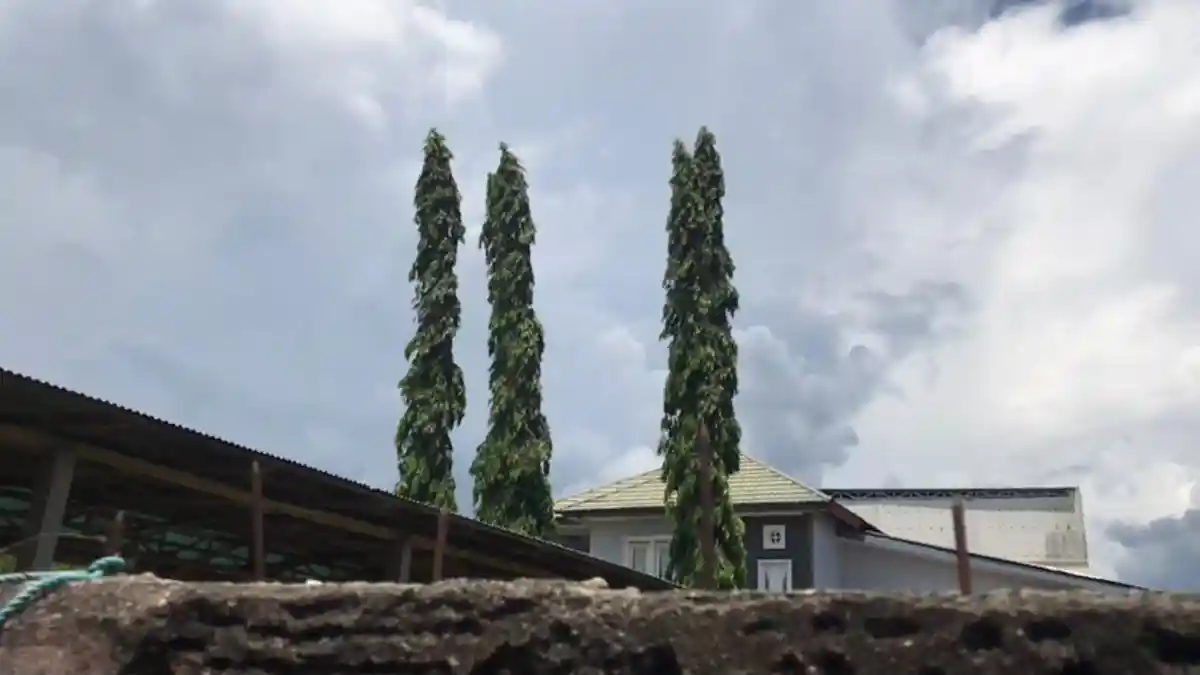 BMKG Gorontalo: Hujan Lebat Berpotensi di Sumalata-Asparaga-Tilamuta-Batudaa-Pinogu