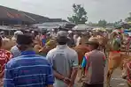 Jelang Idul Adha, Pemkab Sampang Perketat Syarat Pengiriman Ternak