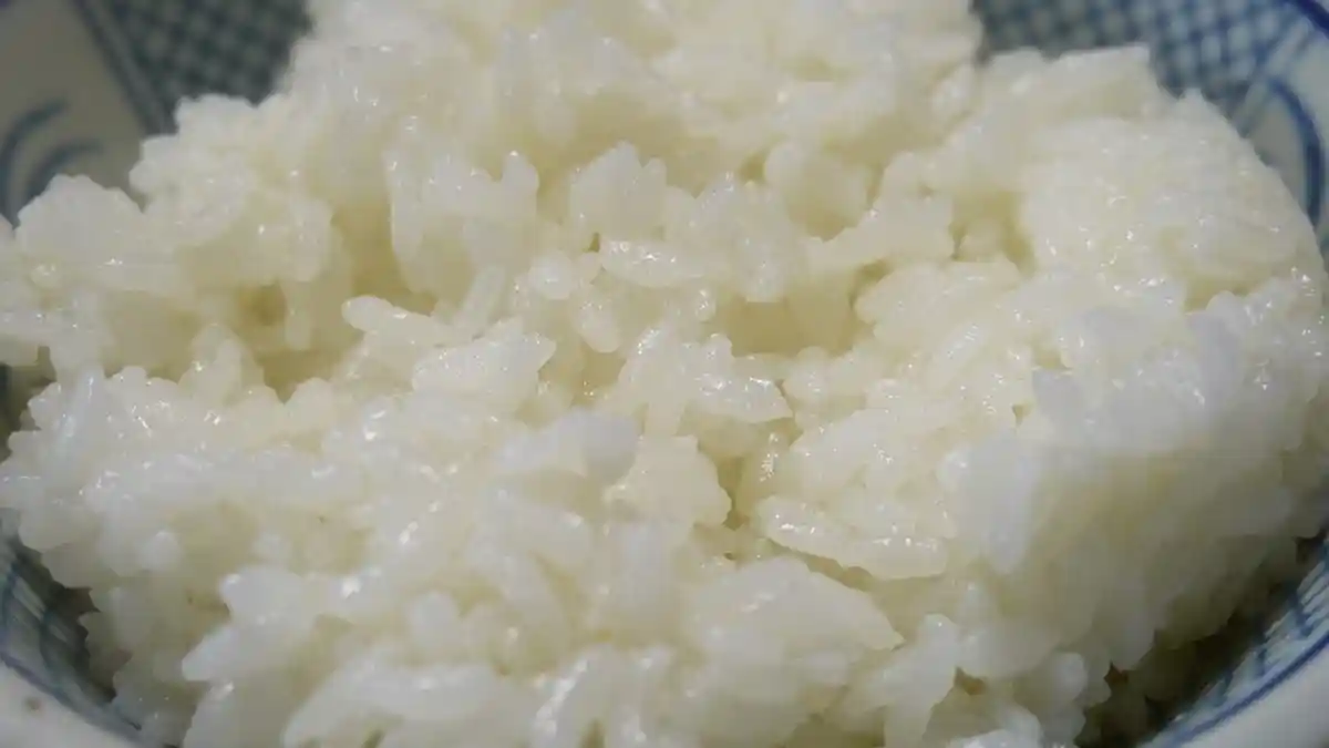 Hal Pemicu Diabetes, Begini Cara Konsumsi Nasi Putih yang Aman dan Sehat