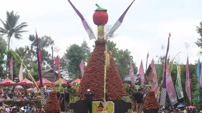 Tribun