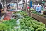 Harga Seledri di Baturaja OKU Tembus Rp80 Ribu per Kilogram, Pedagang Soto dan Bakso Kurangi Stok