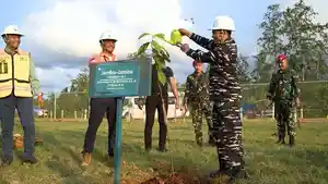 lanal-palu26451.jpg