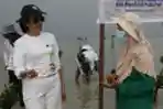 AXA Mandiri dan MAGI Tanam Pohon Bakau
