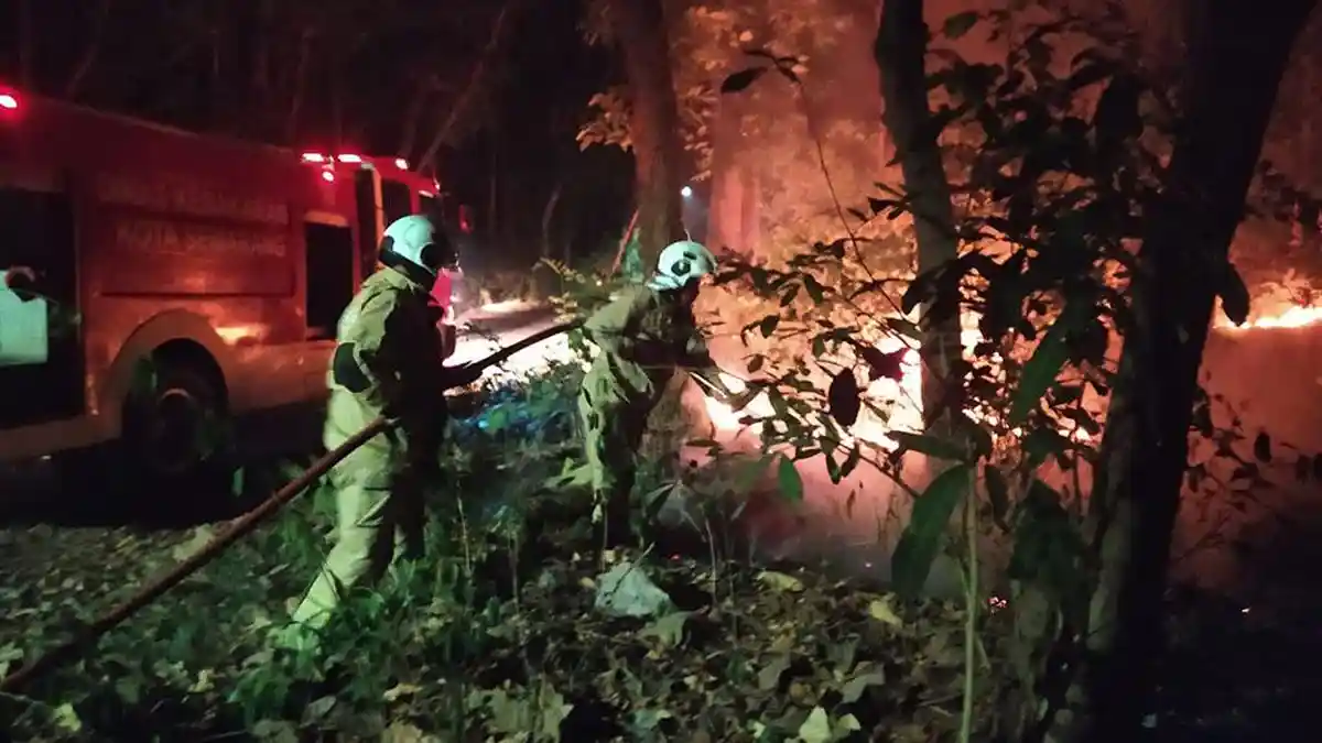 Pemkot Semarang Ajak Masyarakat Hindari Pembakaran Sampah dan Ilalang