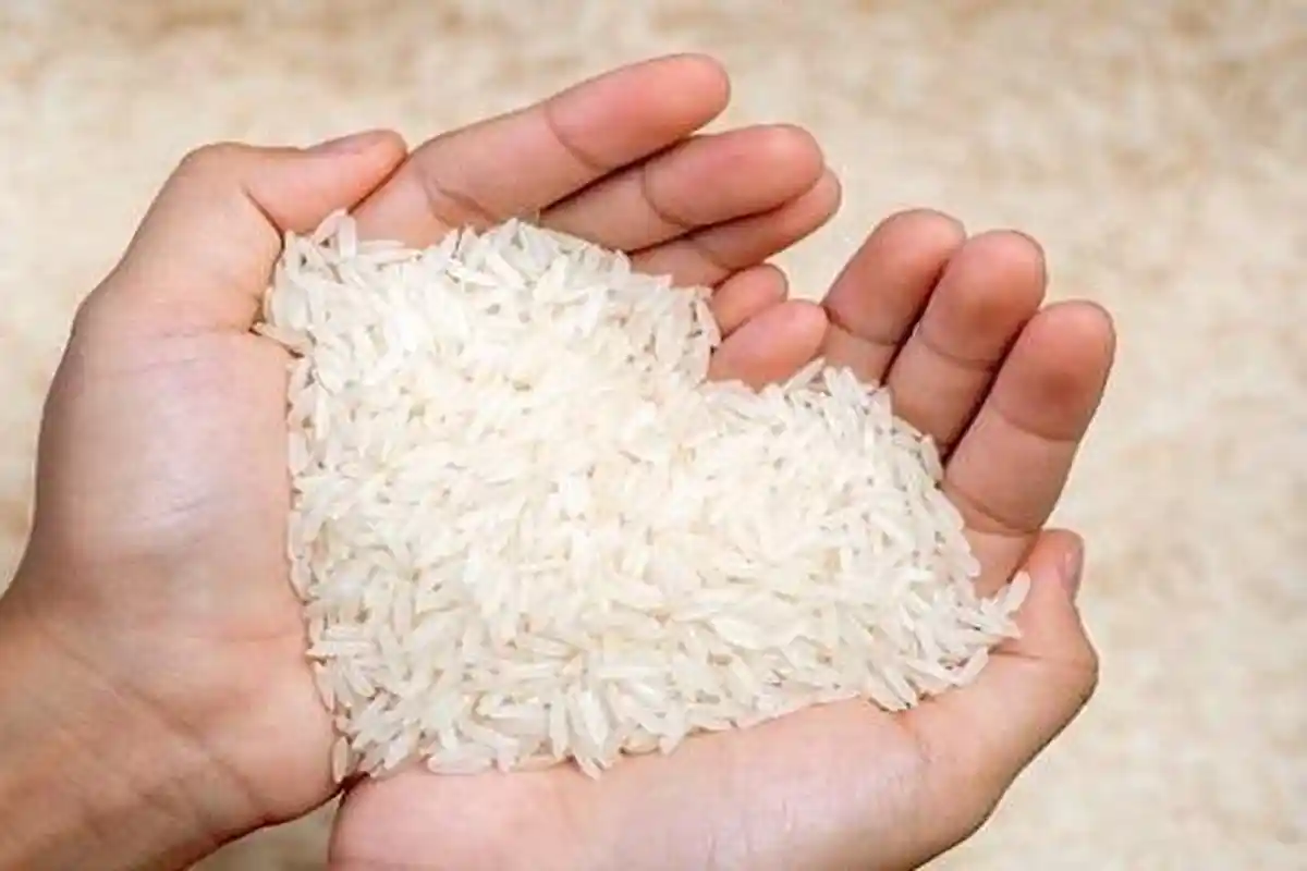 Temuan 6 Merek Beras Diduga Oplosan di Jambi, Ditarik hingga Hasil Tes Lab Keluar