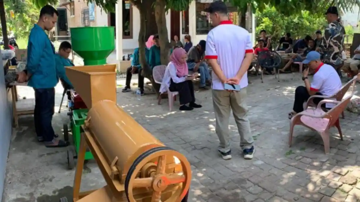 Budidaya Maggot jadi Usaha Rumahan yang Menjanjikan, Bisa Diolah Menjadi Pelet