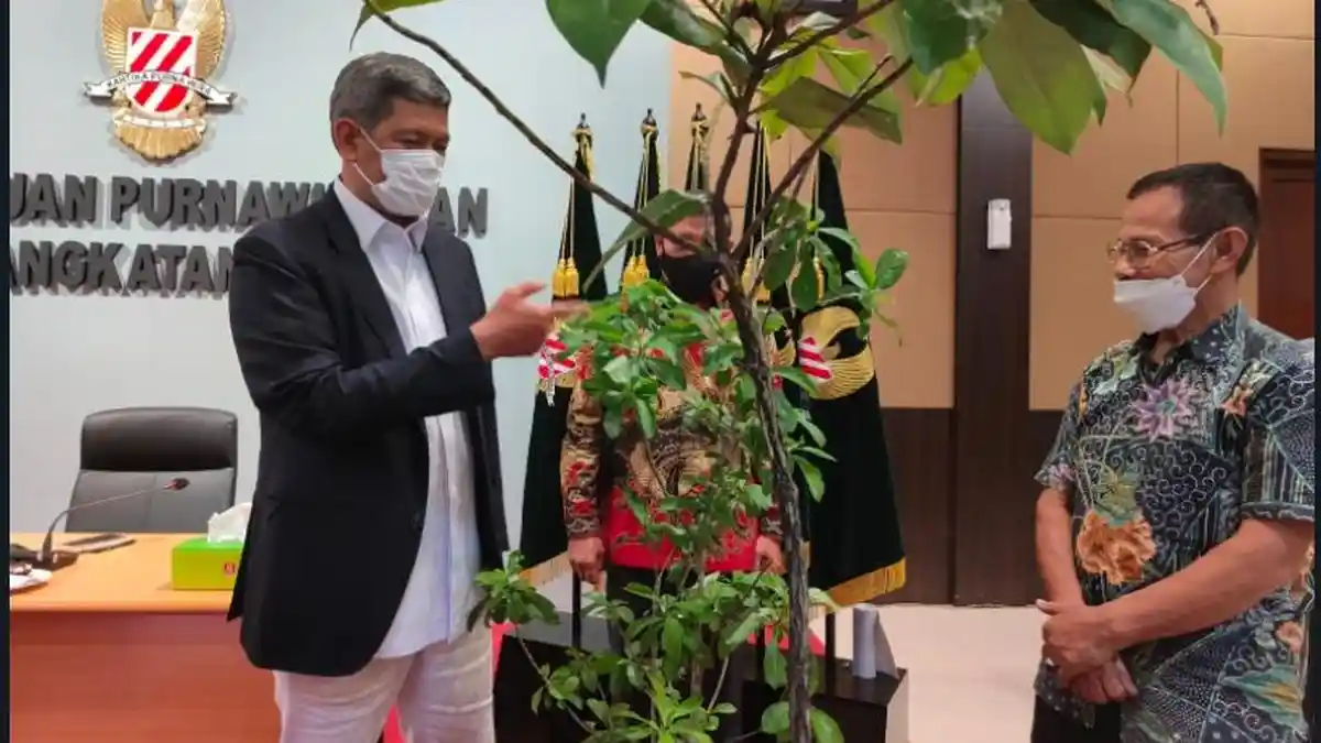 Kado Pohon Hiasi Syukuran Ultah Doni Monardo