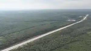 Pembangunan-Tol-Betung-Jambi-Seksi-2A-dan-2B-Ditargetkan-Rampung-2027-Ada-Rest-Area.jpg