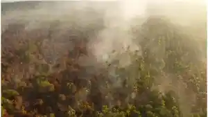Titik-asap-di-lokasi-Kebakaran-Hutan-dan-Lahan-Karhutla-Desa-Sokoi.jpg