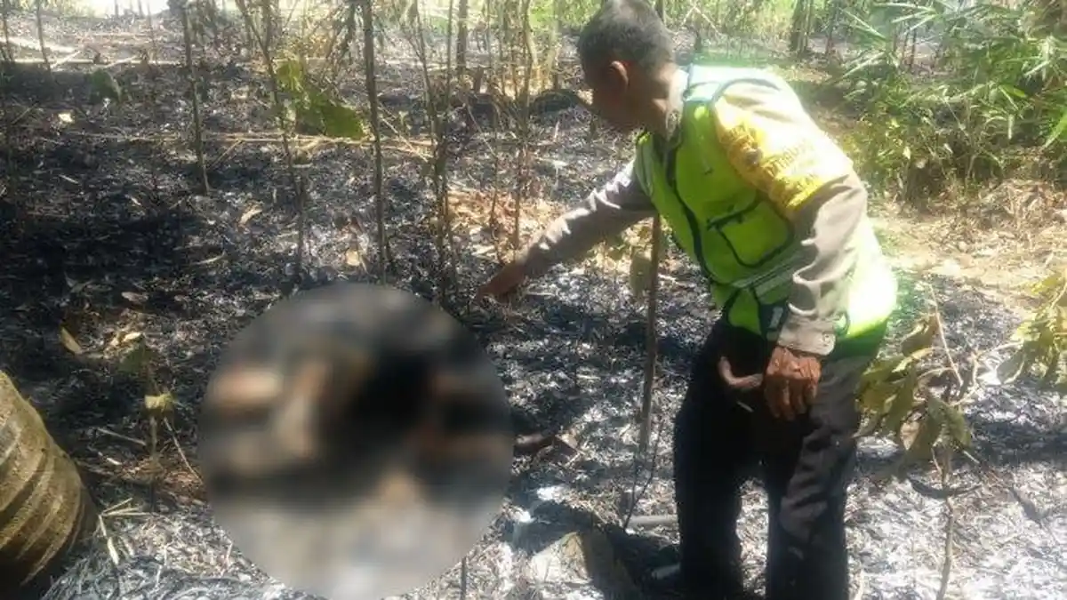 Warga Semarang Tewas dalam Kondisi Terbakar di Pekarangan