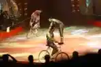 Pertunjukkan Sirkus The Great 50 Show