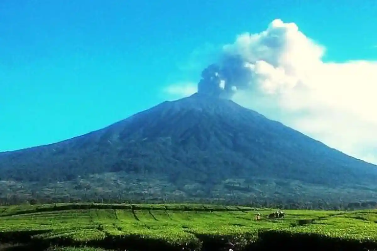 WASPADA Gunung Kerinci Erupsi pada Rabu Siang, Tinggi Kolom Abu Teramati 800 Meter