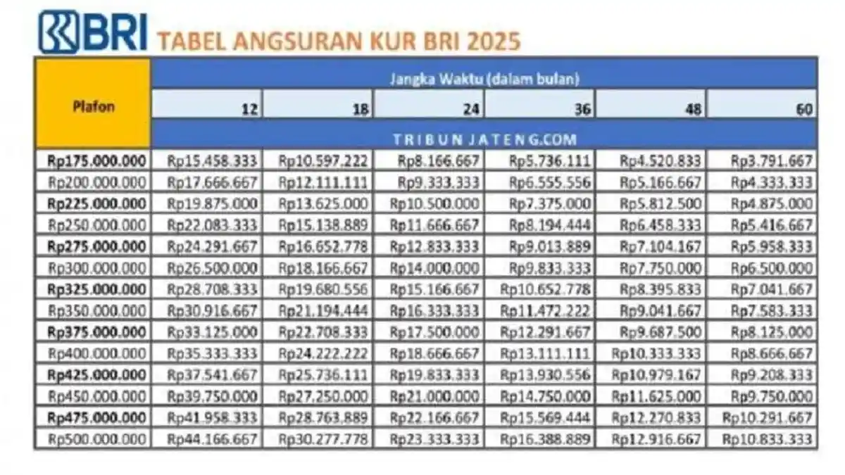 Beda, Tabel Angsuran Pinjaman NON KUR dan KUR BRI 2025, Cek Perbedaannya