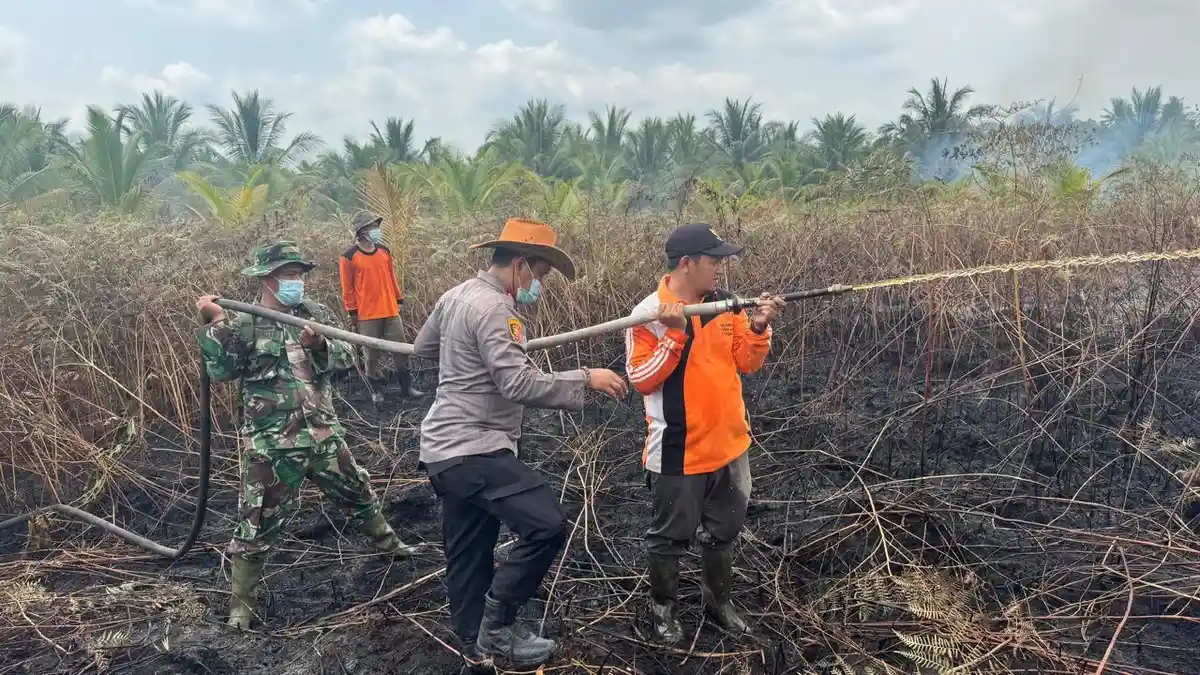 Lahan Gambut di Inhil Terbakar Lagi, Pemadaman Dilakukan dari Darat dan Udara