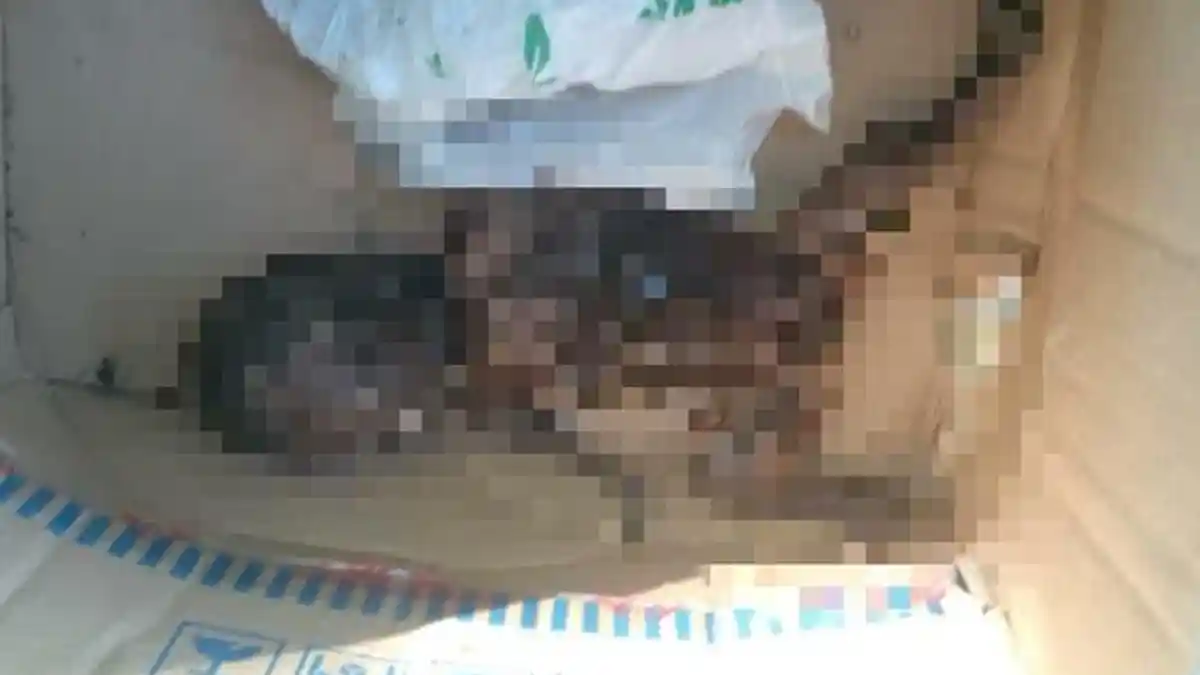 BREAKING NEWS : Mayat Bayi Ditemukan Membusuk di Tepi Sungai Code, Ini Kata Polisi
