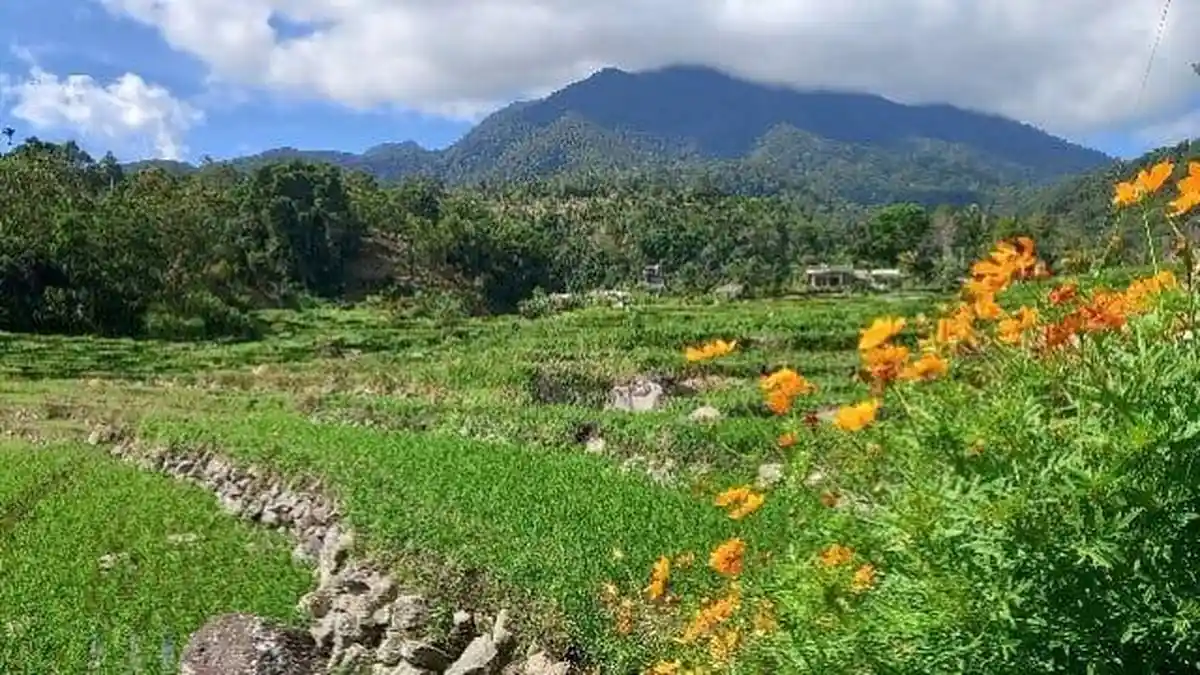 Cuaca Sumbar 7 Juli 2025, Berpotensi Hujan Ringan dari Siang sampai Dini Hari di Lima Puluh Kota