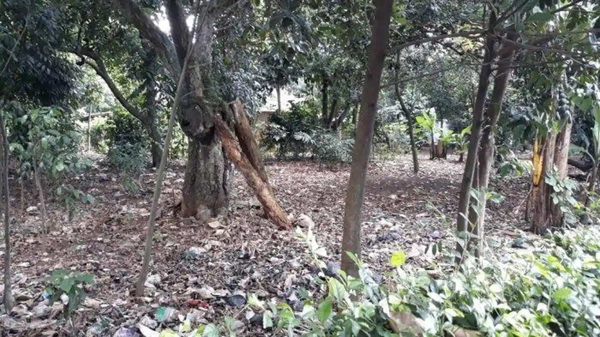 Menilik Lahan Rumah DP 0 Rupiah yang Diduga Pengadaannya Dikorupsi, Ini Kata RT dan RW Setempat