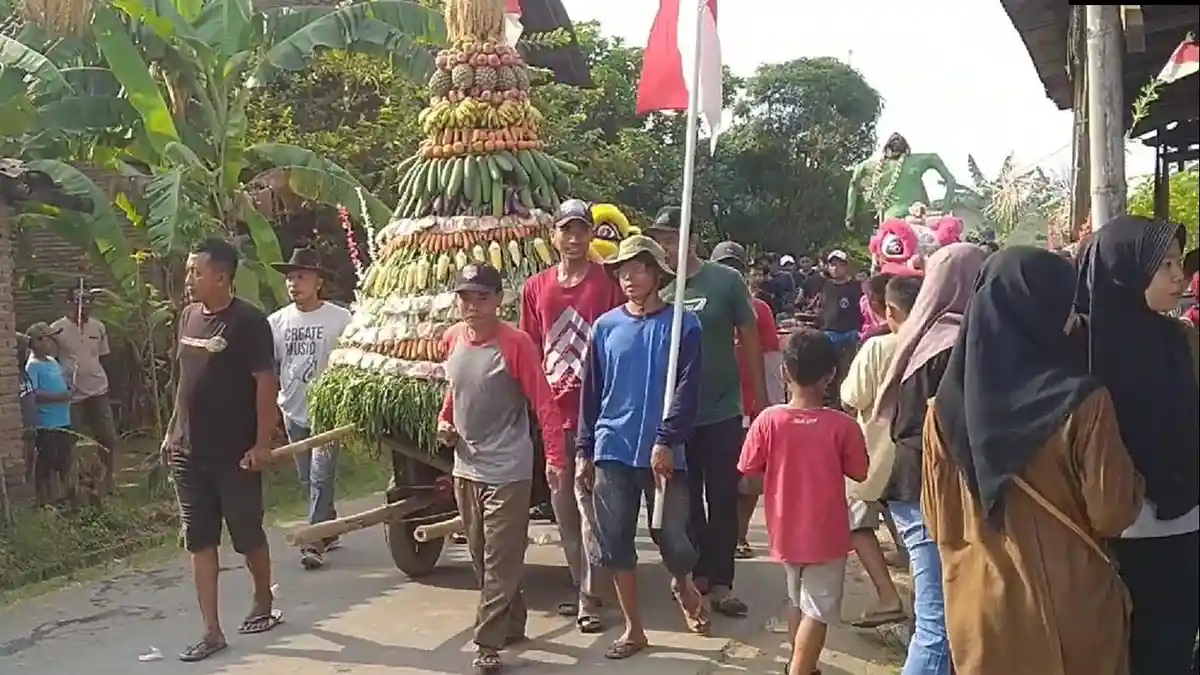 Meriahnya Acara Sedekah Bumi Warga Gedangelo Jepara, Kirab Budaya, Pengajian hingga Wayang Kulit