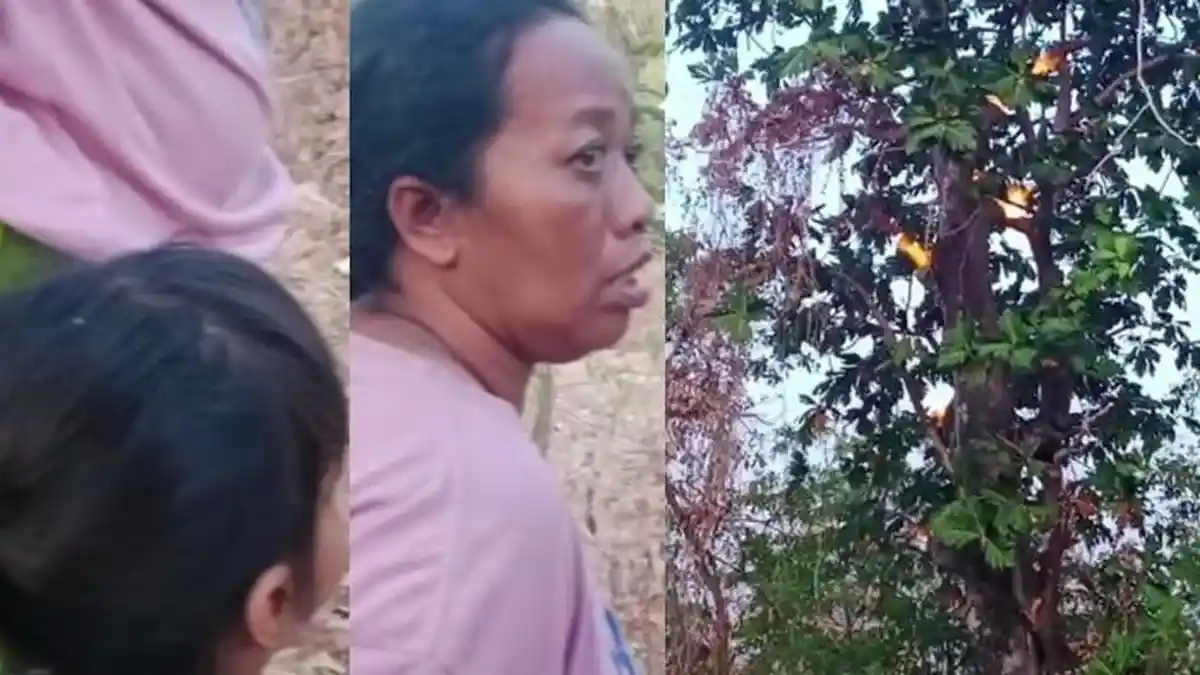 Penampakan Aneh Pohon Mengeluarkan Api di Sumenep Viral, Warga Heran Cuma Muncul di Titik Tertentu