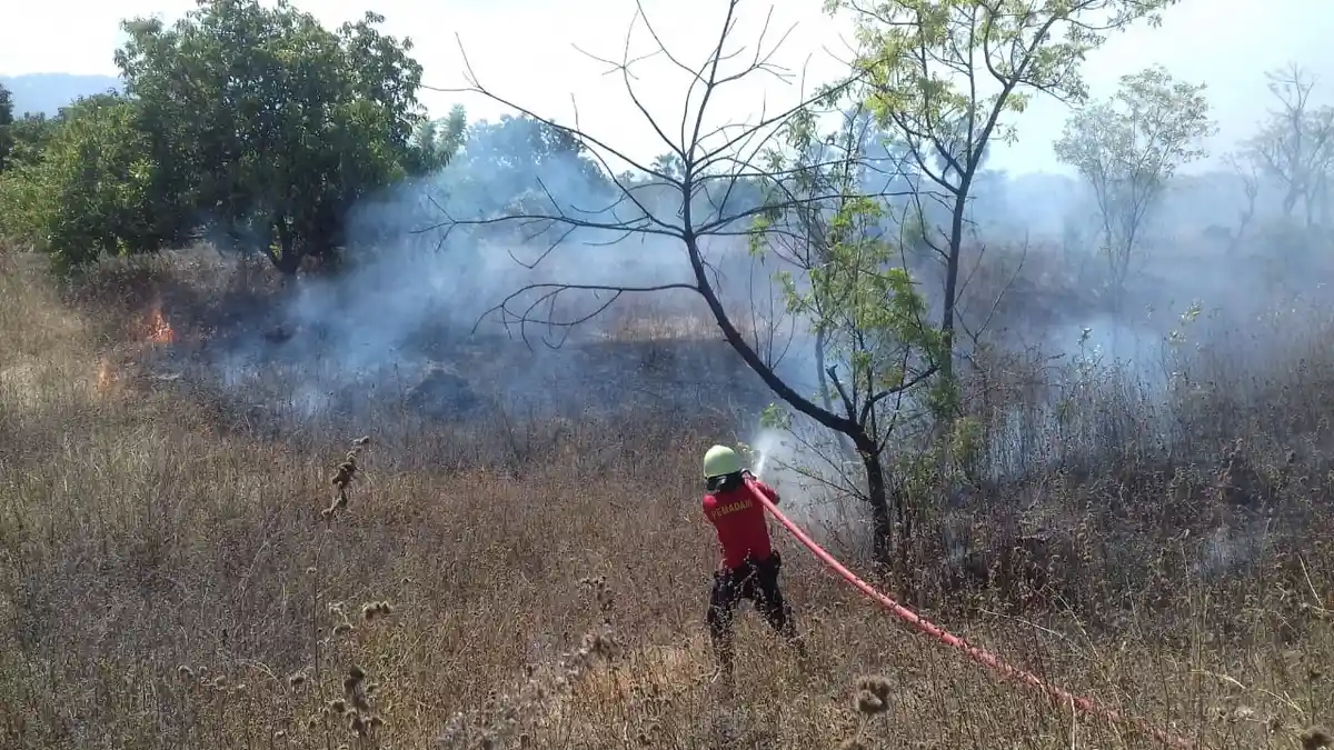 Dalam Seminggu Terdapat 6 Kasus Kebakaran Lahan di Karangasem